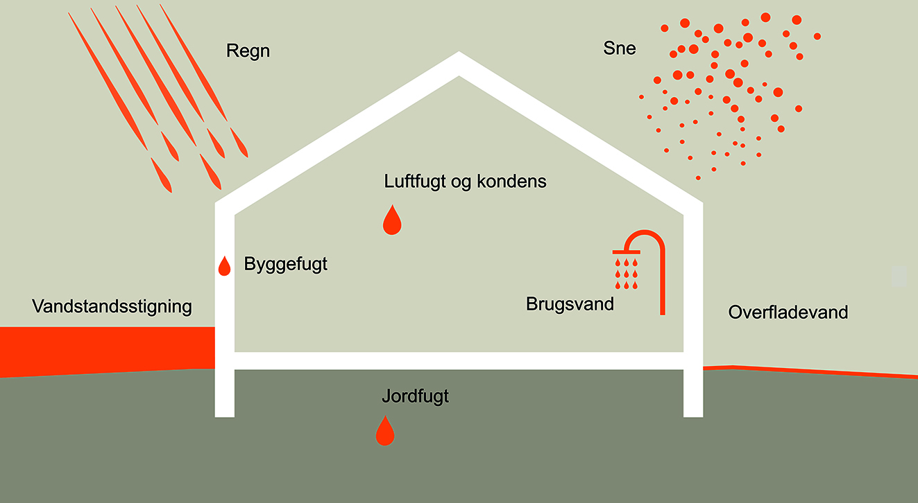 typer af fugtpåvirkninger